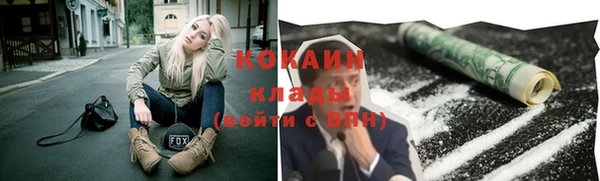 твердый Пестово