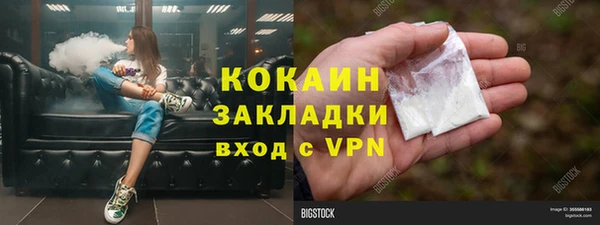 твердый Пестово